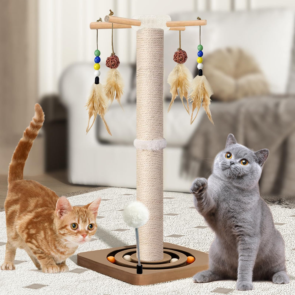 PAROTO Indoor design image fits home décor while offering vertical exercise.