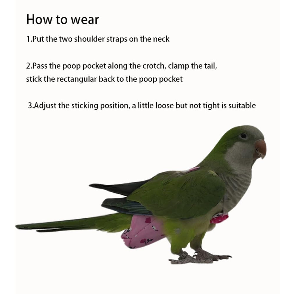 Parrot Diapers cute cartoon design adds charm for pets during use.
