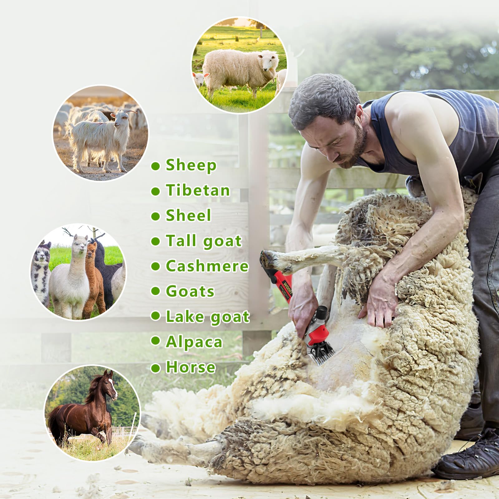 PAT JUUMG low-noise design close-up helps calm livestock