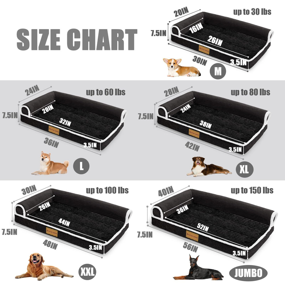 Patas Lague color and size options fit various dogs.