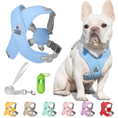 Patas Lague harness blue side view demonstrates secure, comfortable daily walking.