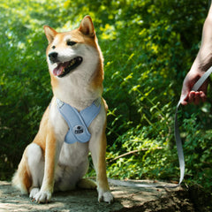 Patas Lague leash 5ft swivel prevents tangles during walks.