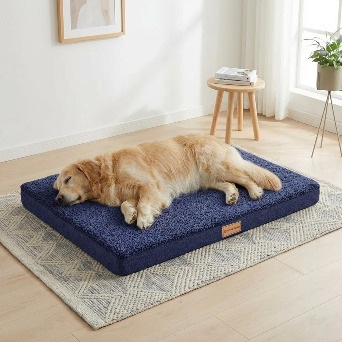 Patas Lague orthopedic-xl dog bed foam close-up highlights supportive egg crate foam for comfort.