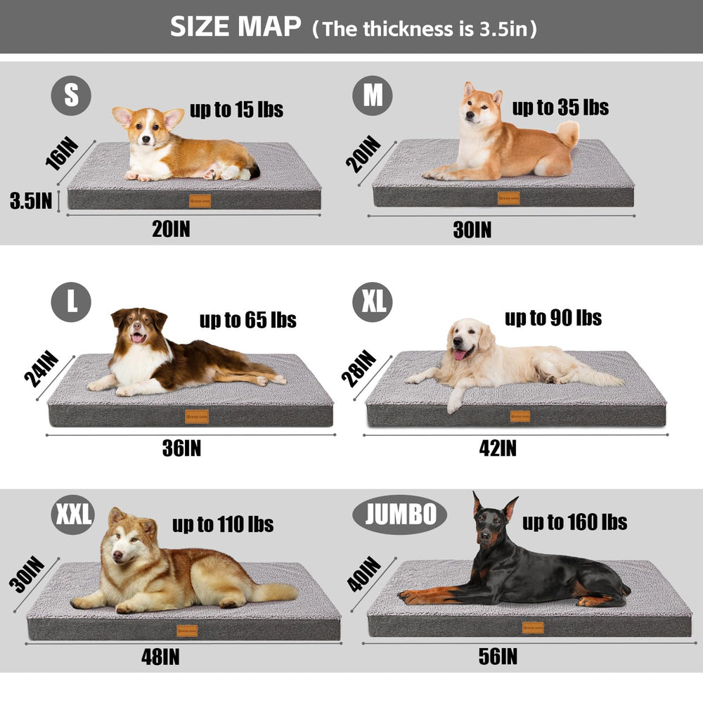 Patas Lague size range display shows six sizes for different breeds