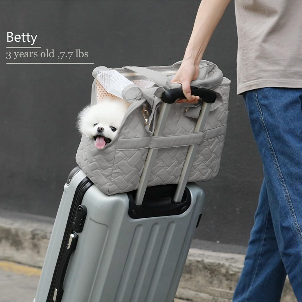 Patazone pet carrier bag grey folded-flat design ready for compact storage.