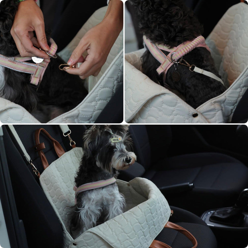 Patazone puppy carrier purse interior with soft lining for comfort.