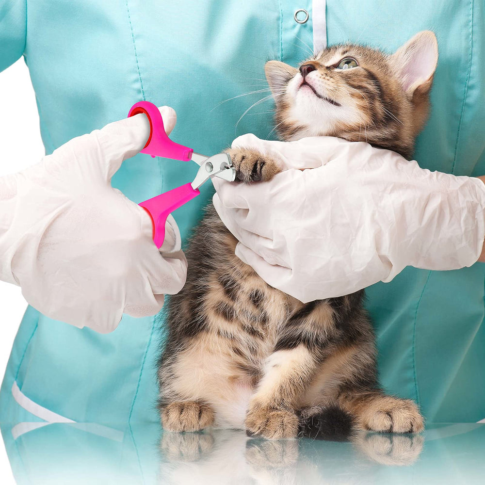Patelai cepillo masaje para gato durante baño