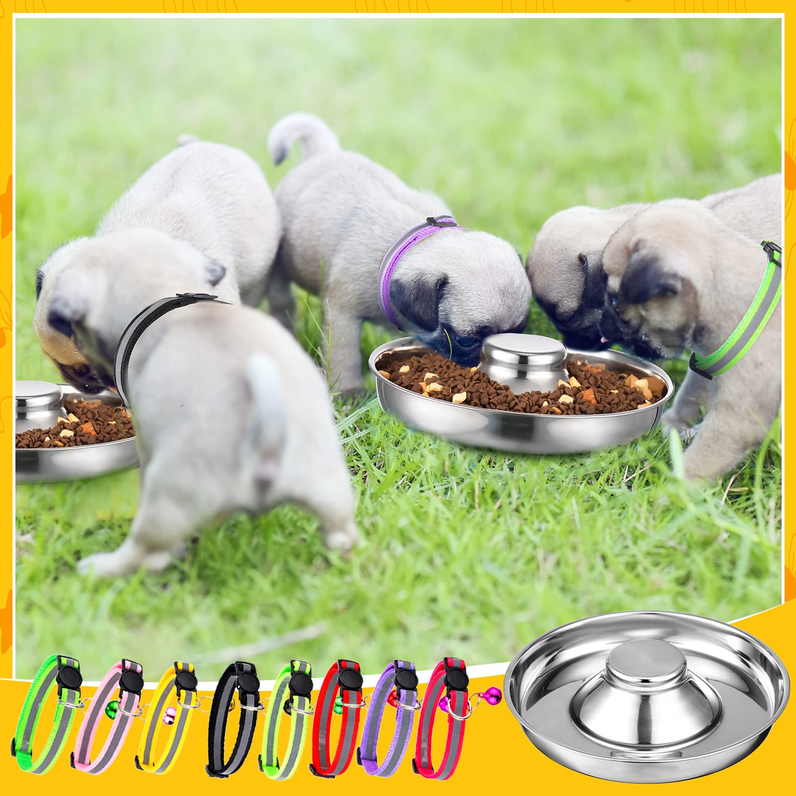 Patelai collars in 12 colors for quick identification