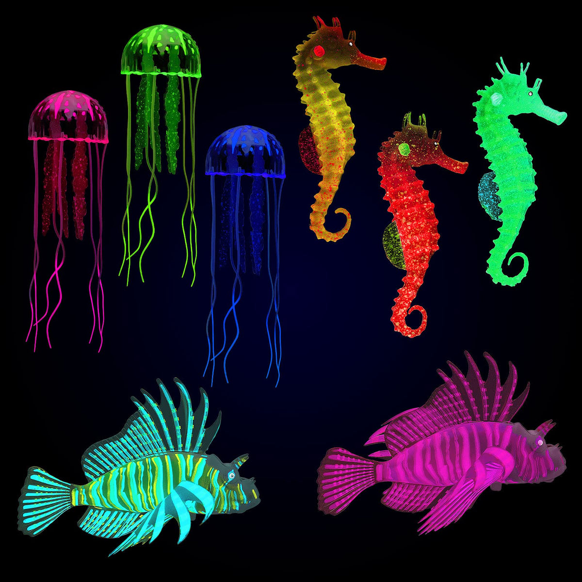 Patelai glow jellyfish in tank gently sway creating vibrant aquarium scenery.