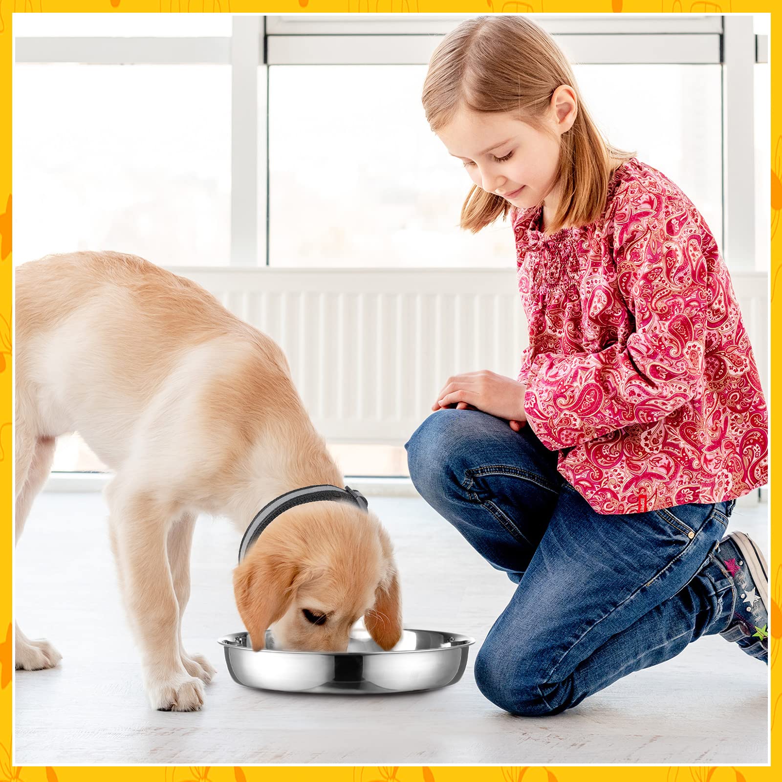 Patelai package includes two bowls and twelve collars