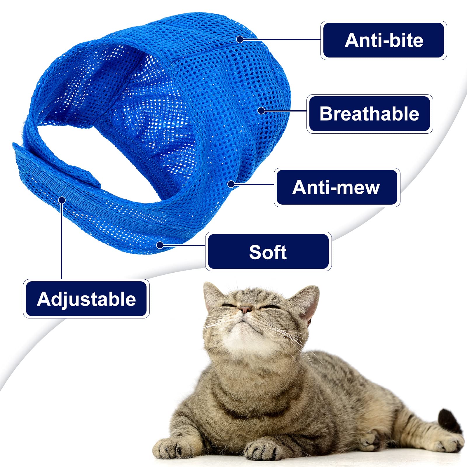 Patelai remocion-garrapatas-gato herramienta práctica para higiene
