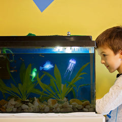 Patelai silicone aquarium decor pack offers safe, soft enhancements.