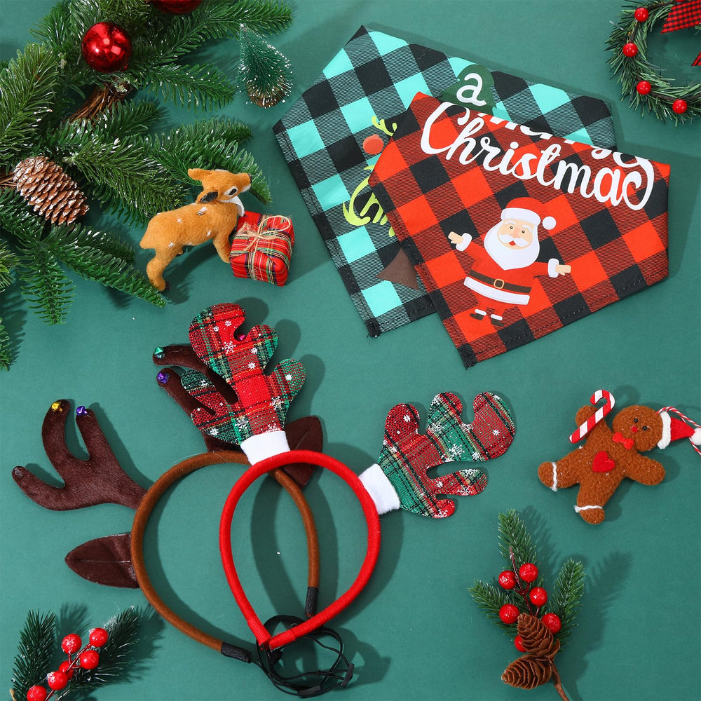 Paterr Christmas pets photoshoot setup with coordinated accessories