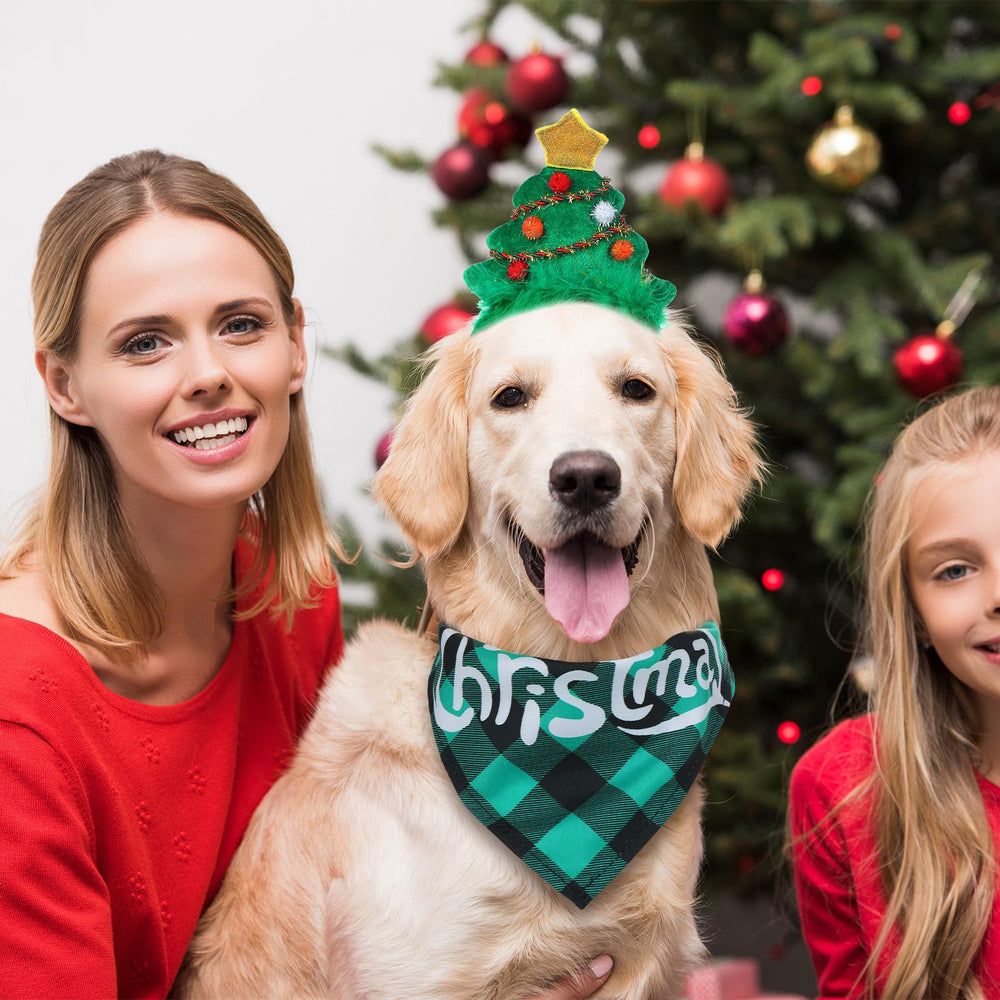 Paterr Christmas set packaging shows quality and gift-ready presentation