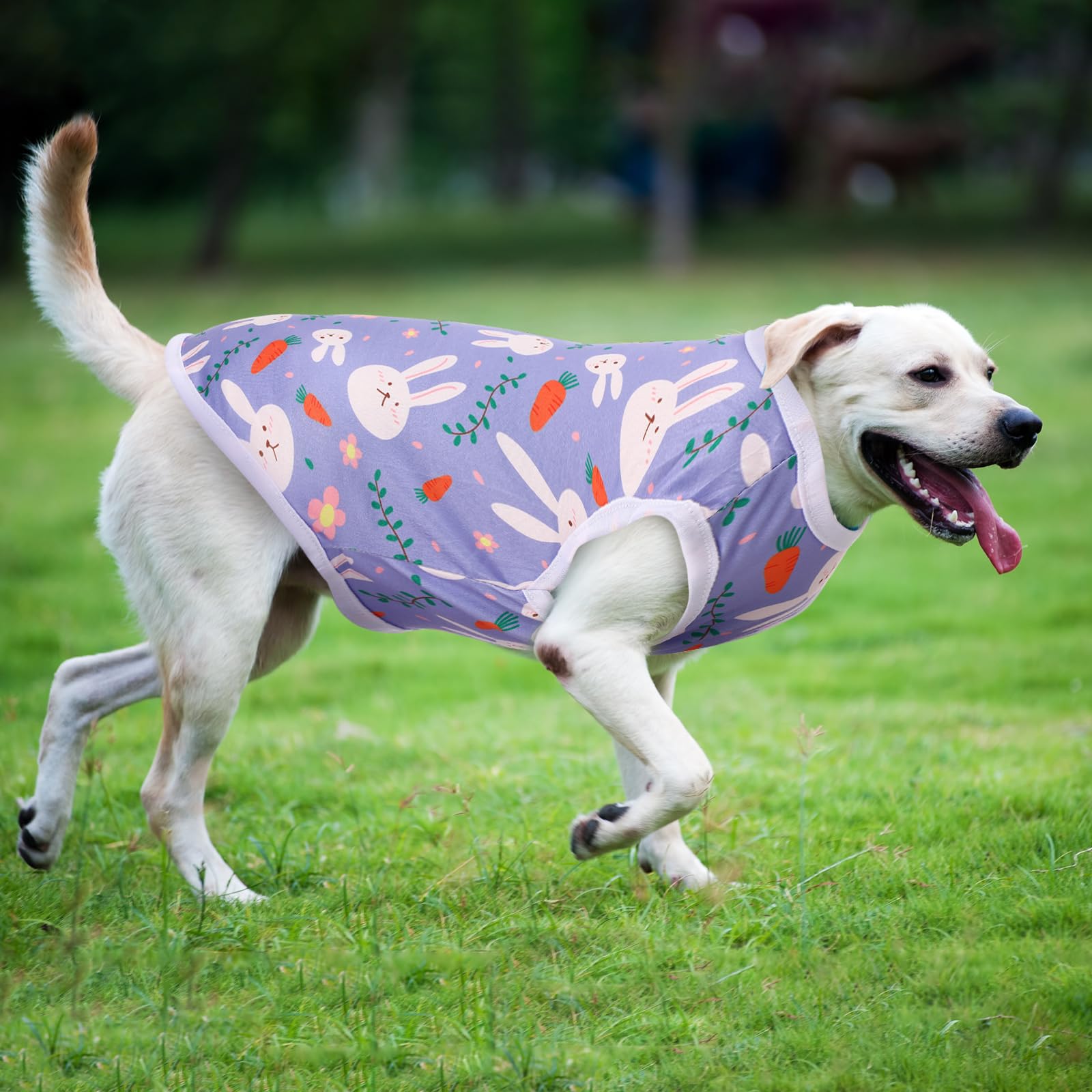 Paterr dog shirt easy-care-washable design for quick cleaning after playtime.