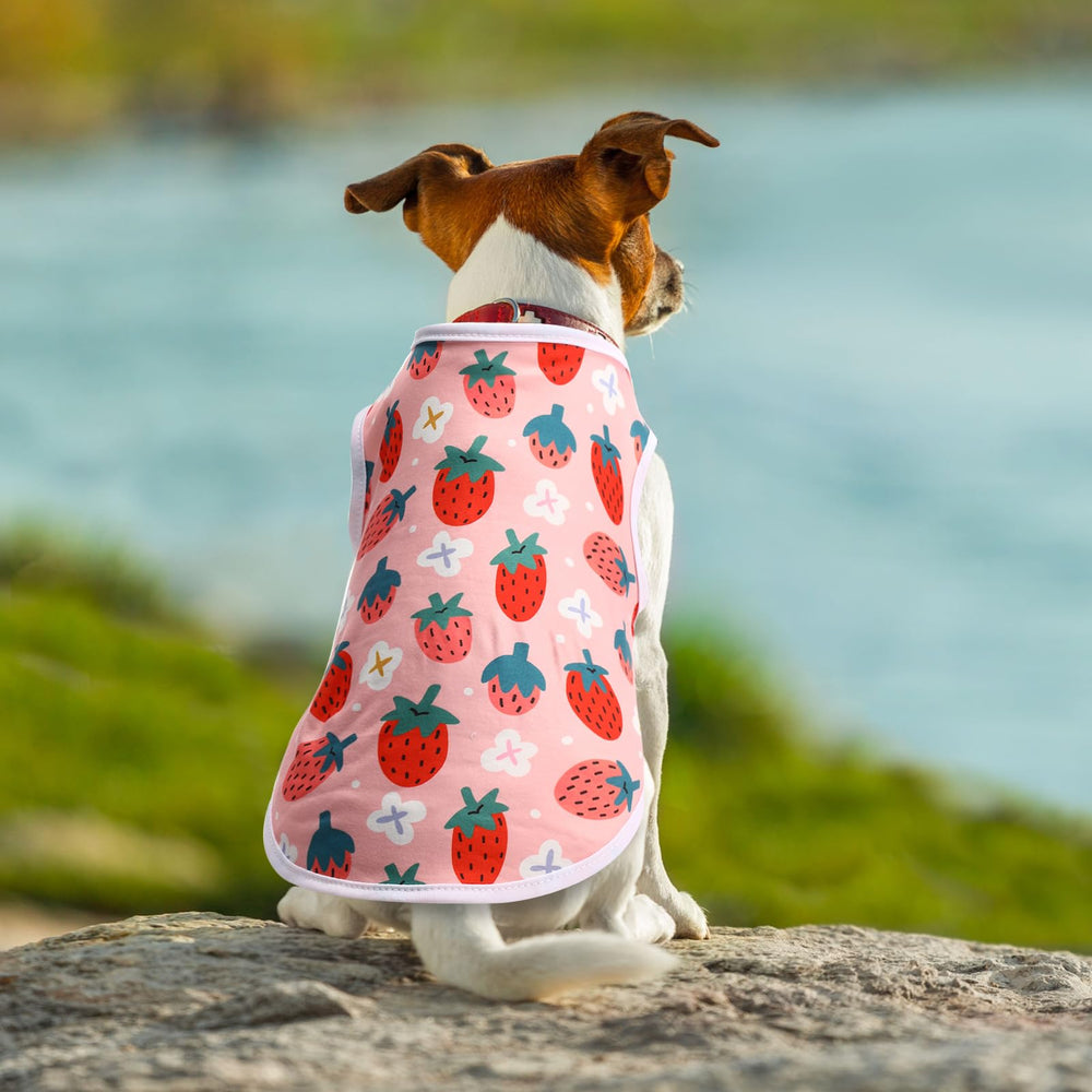 Paterr dog shirt size L back-length-13in suitable for larger pets seeking comfortable fit.