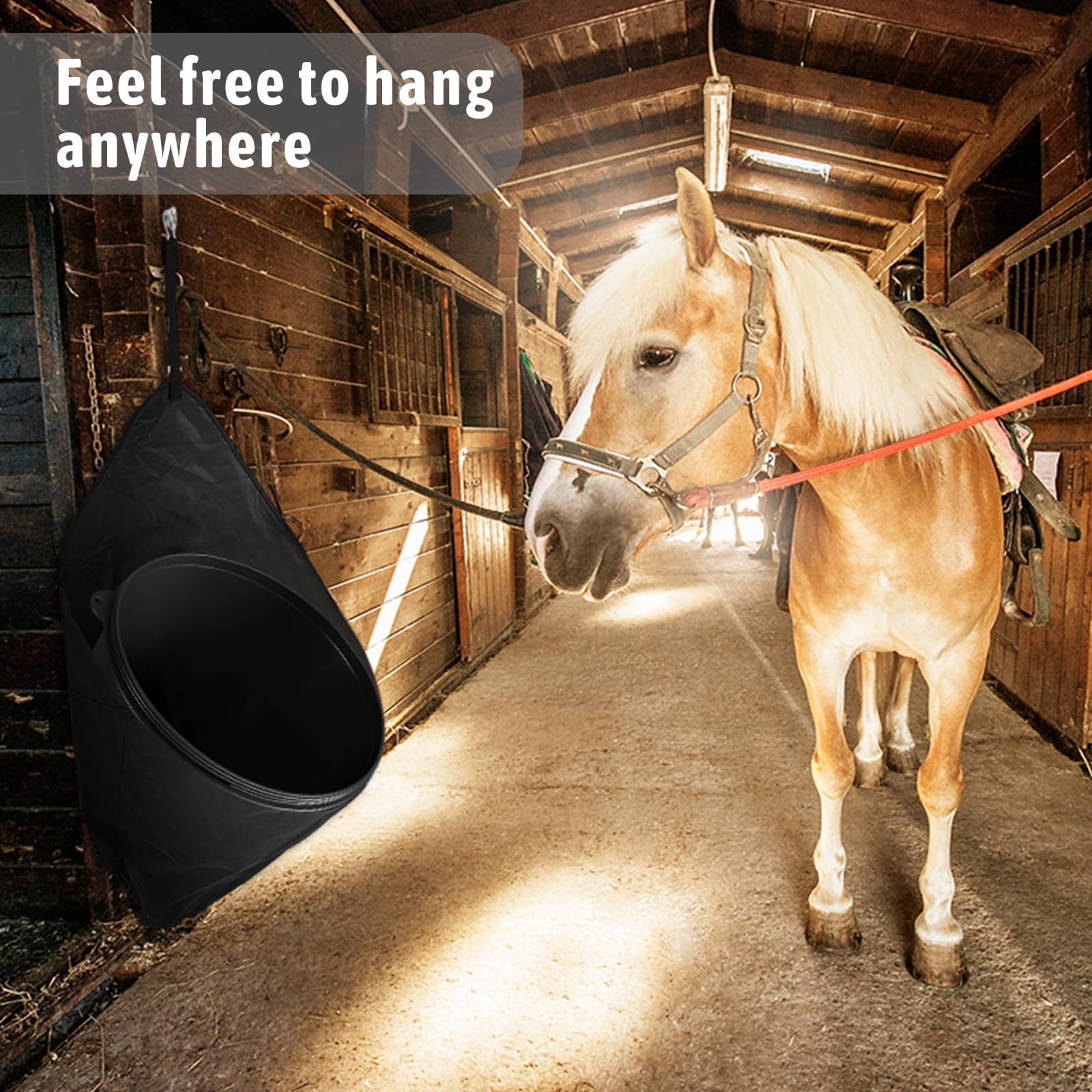 Paterr durable water-holding accessory ideal for on-the-go feeding