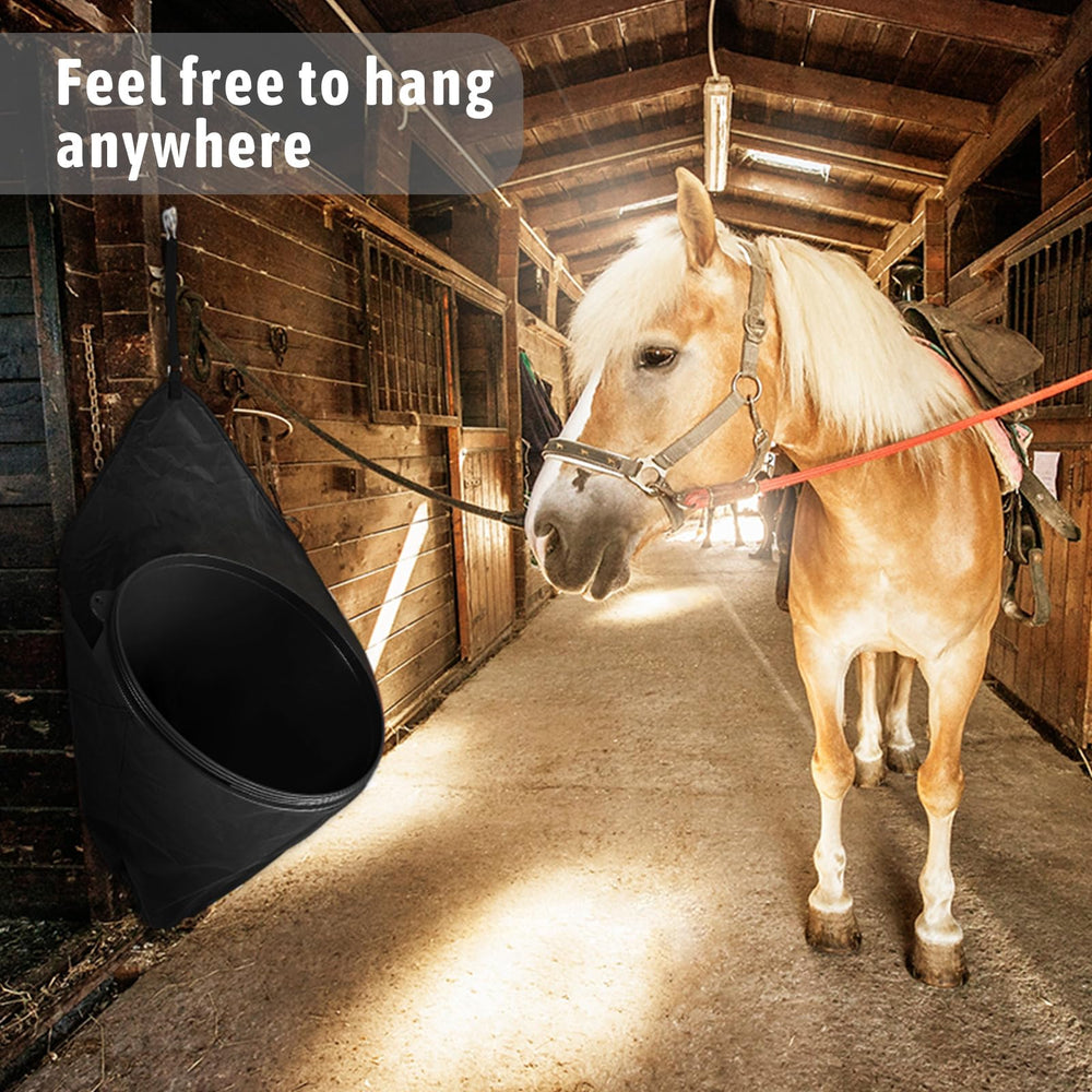 Paterr durable water-holding accessory ideal for on-the-go feeding