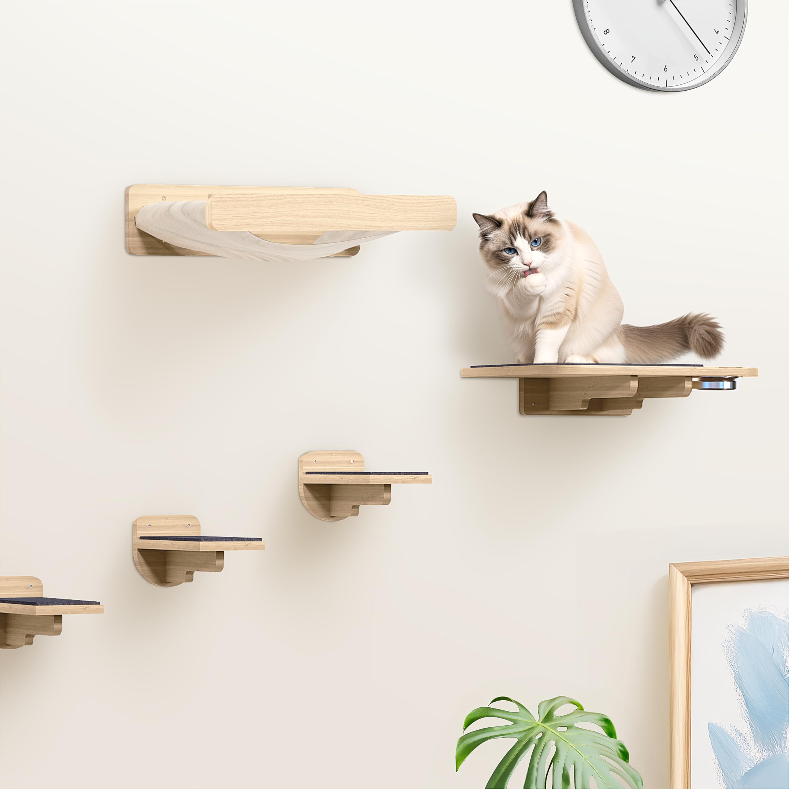 PATHOSIO PETS walnut or natural finishes blend with home decor.