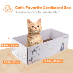 PatiencET catnip box with scratchers provides added enrichment during playtime