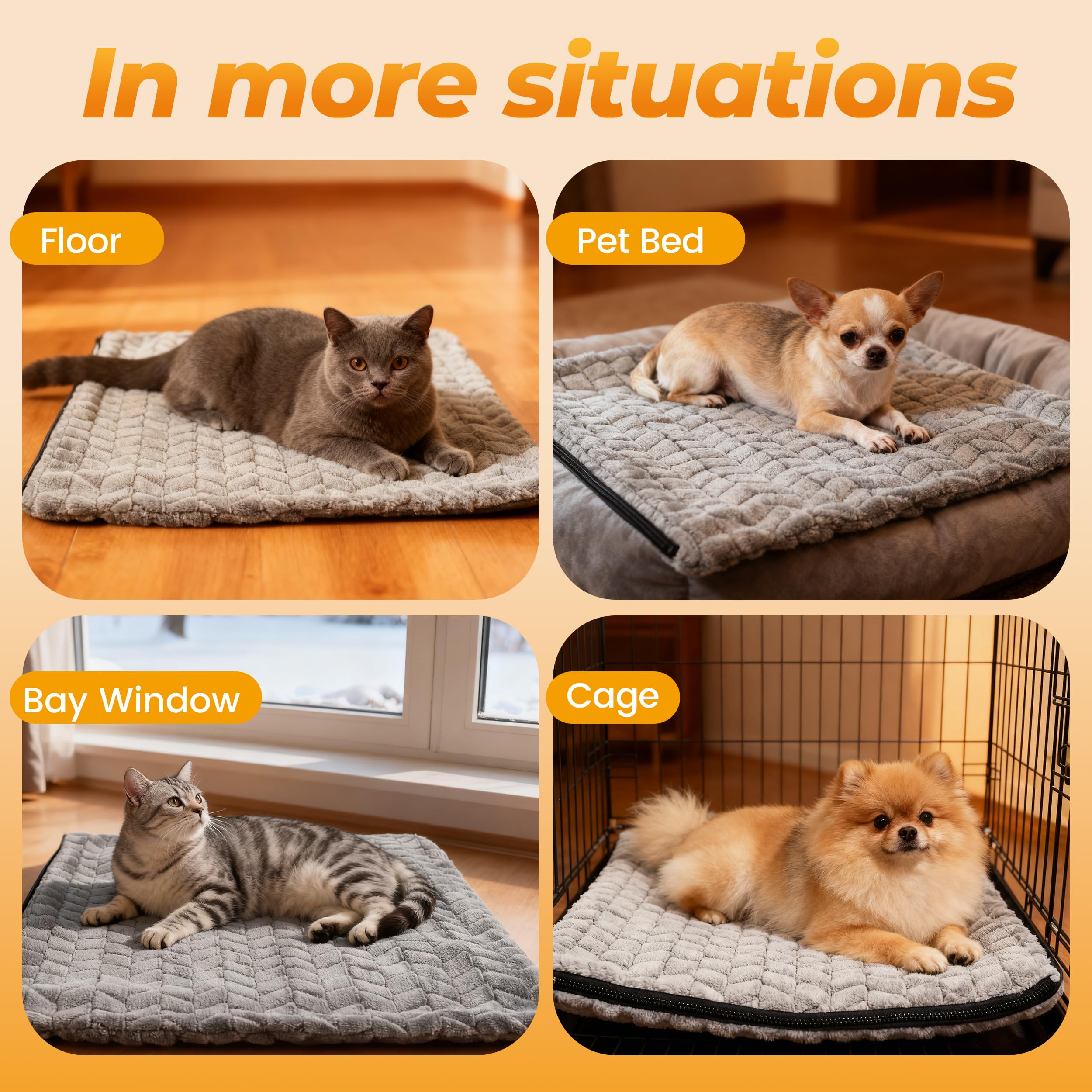 PatiencET heated cat pad in crate and sofa setup creates cozy corners.