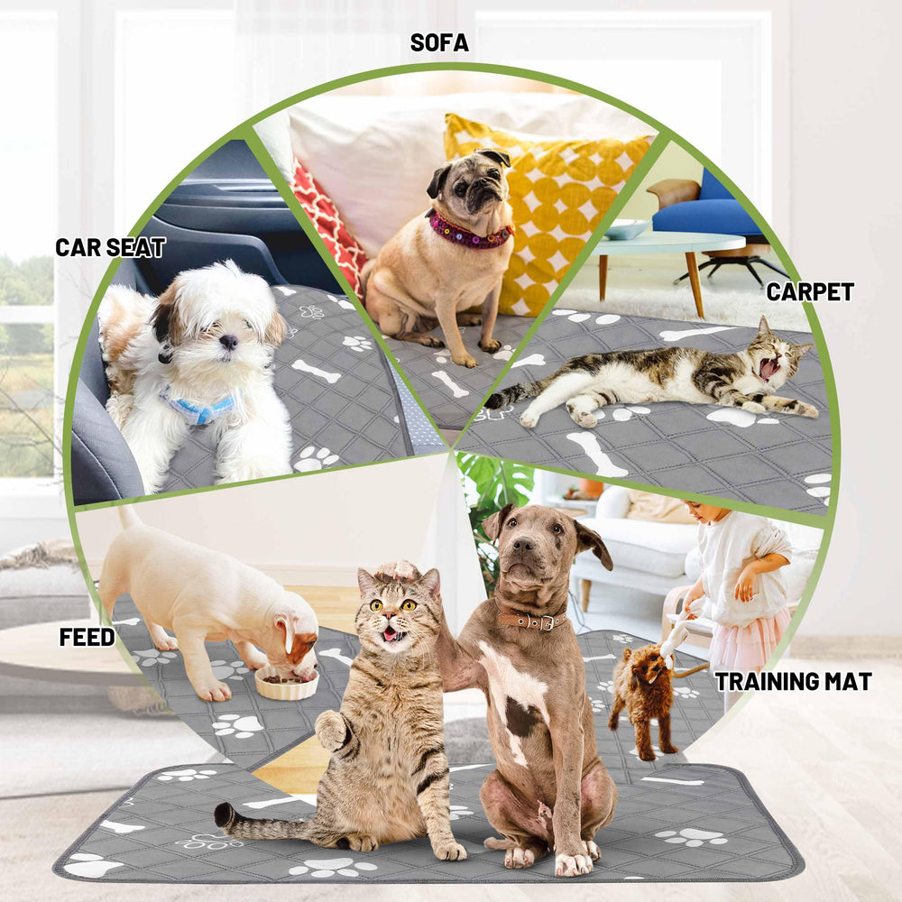 PatiencET reusable dog pads soft surface show comfort for sensitive paws