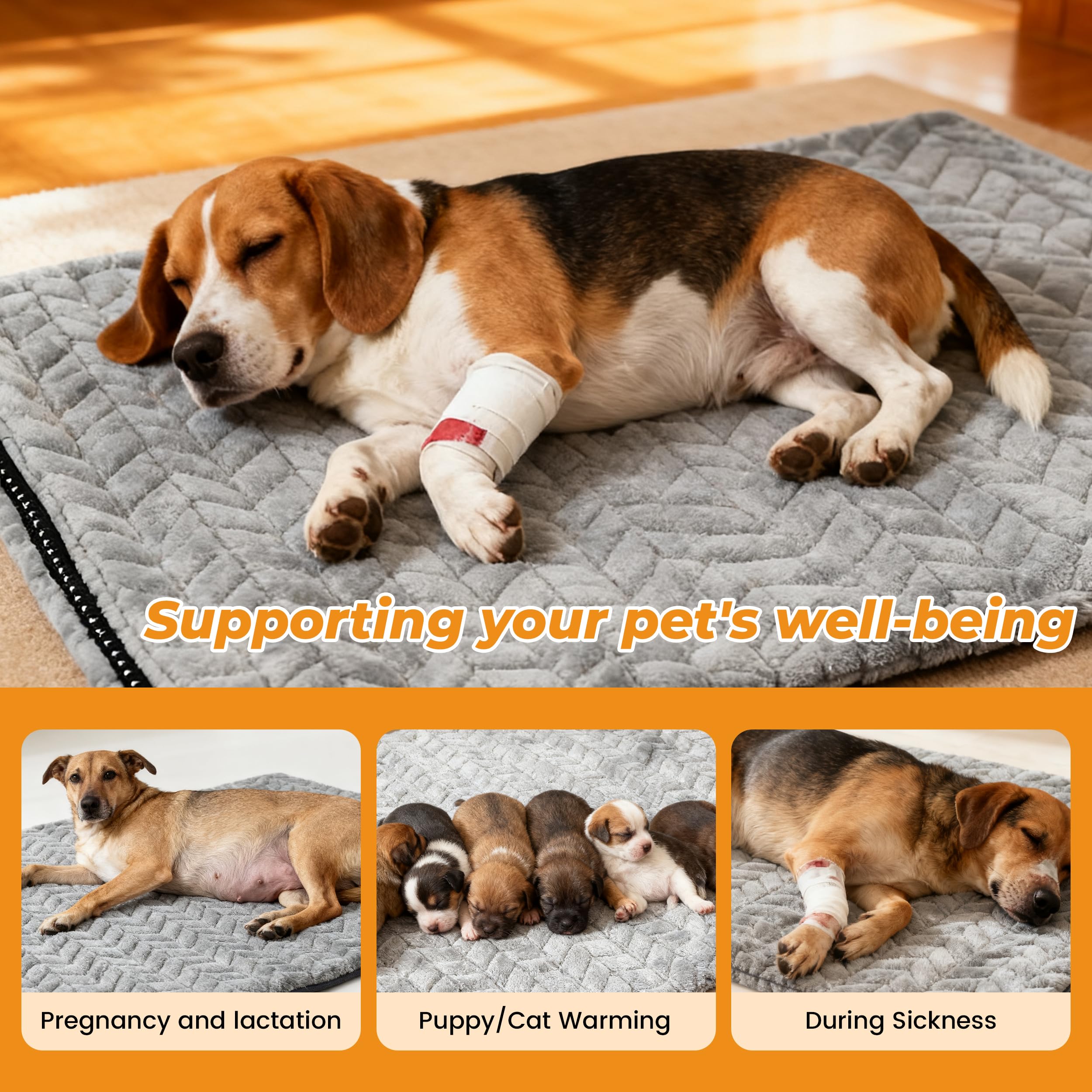 patiencet two-pets-sharing-bed demonstrates heat coverage for cats and small dogs.