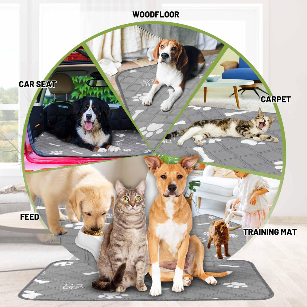 PatiencET pad displays skin-friendly surface for cozy puppy training sessions.