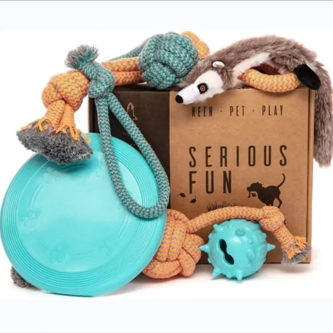 Patitas Birthday & Fun Box rope-tug-toy for puppies promotes active interactive play