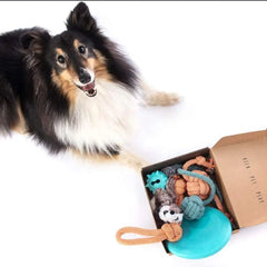 Patitas Birthday & Fun Box squeaky-plush engages pups with playful sounds and cuddles