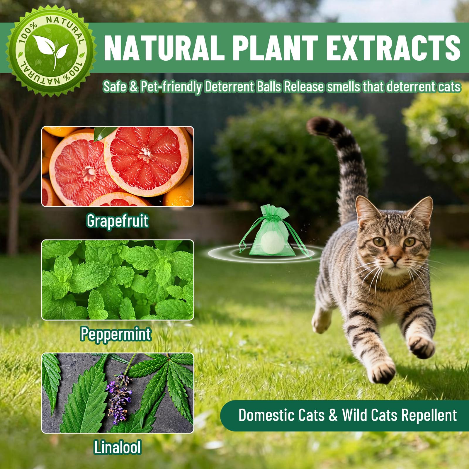 Patorop cat repellent ball placed in garden deters curious cats