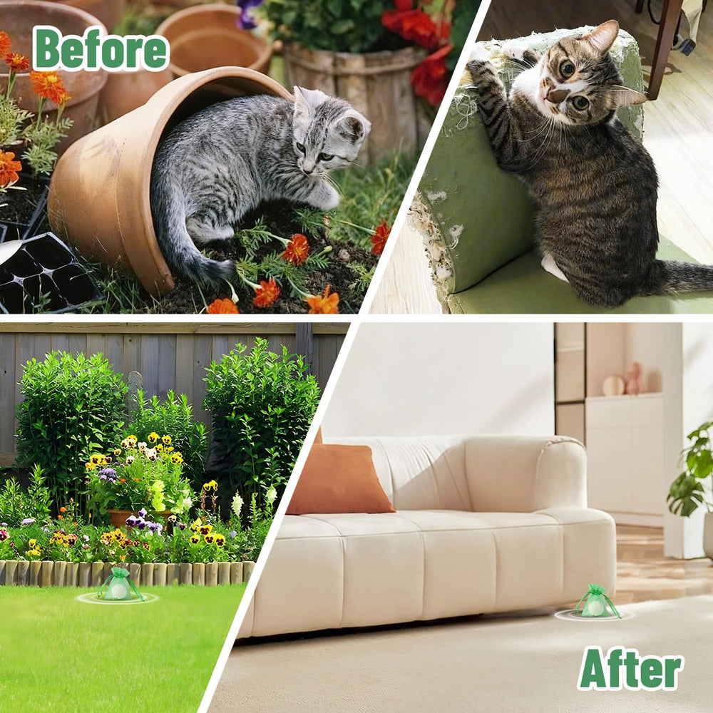 Patorop garden coverage keeps cats away from beds and plants