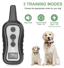 PATPET remote control demonstrates one-device control for two dogs during training.