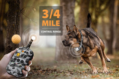 PATPET shock collar waterproof IPX7 receiver for outdoor use