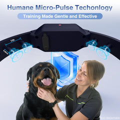 PATPET collar LED light modes for improved visibility during evening walks