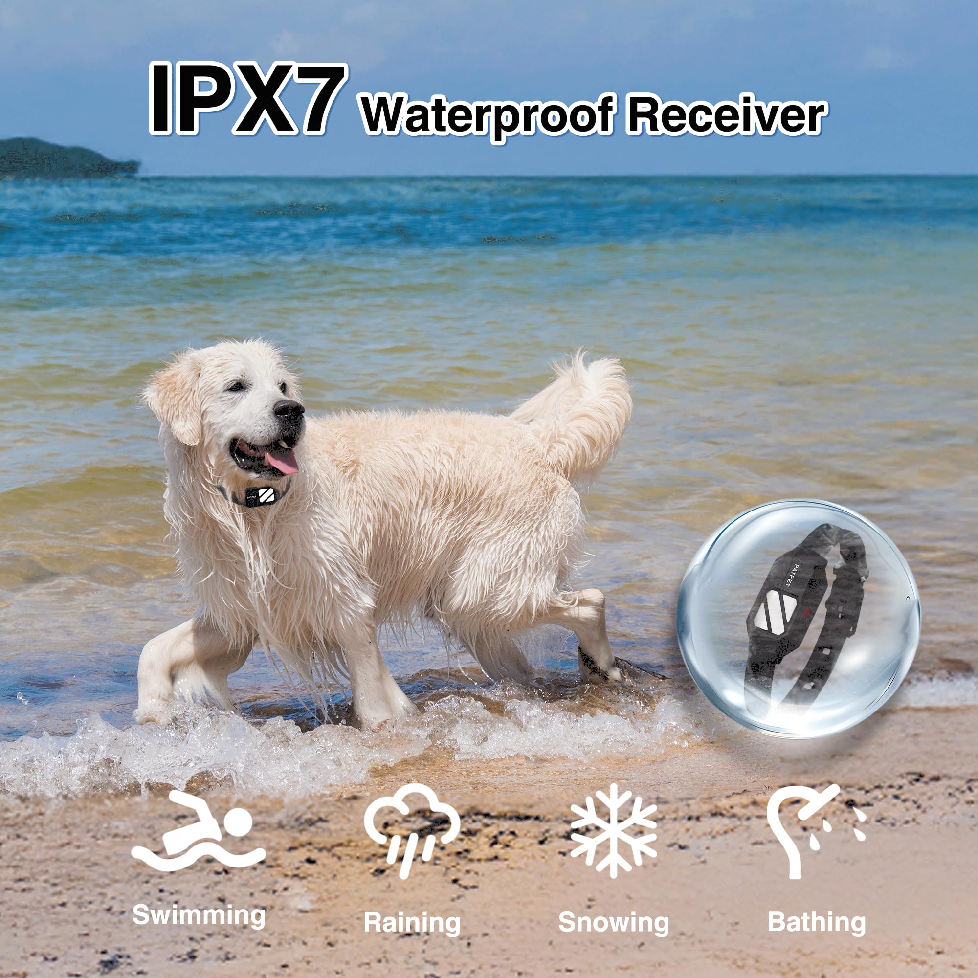 PATPET dual-channel setup supports training two dogs simultaneously