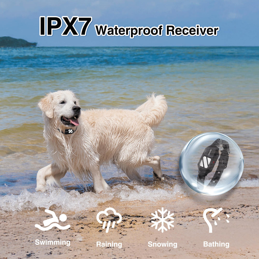PATPET dual-channel setup supports training two dogs simultaneously