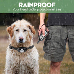 PATPET IPX5 rainproof collar withstands light rain during training sessions.