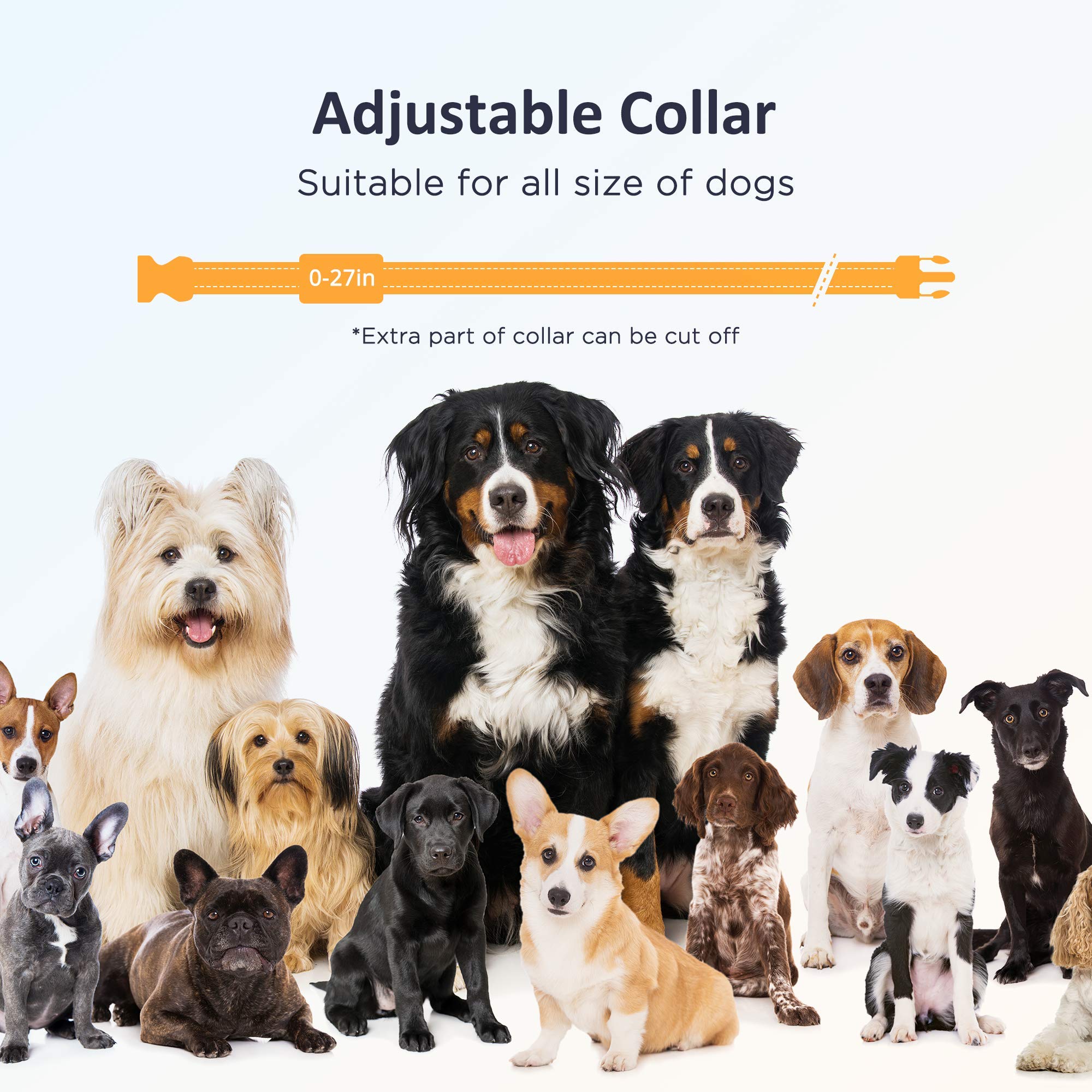 PATPET IPX7 waterproof collar ready for rain and water play