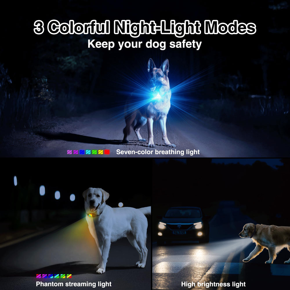 PATPET night-light modes on receiver boost visibility during nighttime training