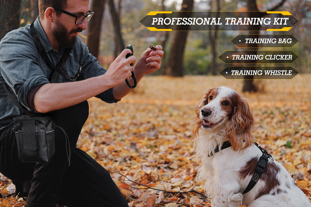 PATPET shock-collar remote control for dual-dog training with adjustable stimulation