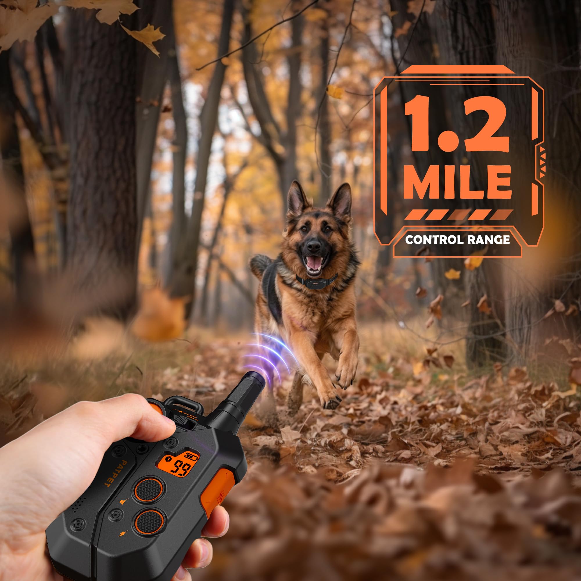 PATPET training accessories bundle with treat bag and clicker for motivation
