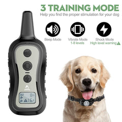 PATPET dual-channel collar system supports training two dogs simultaneously.