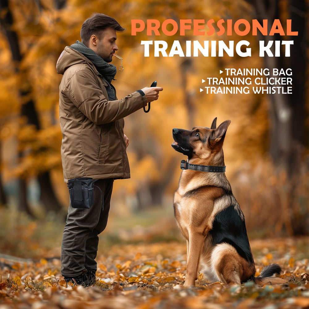PATPET waterproof dog collar IPX7 for outdoor adventures and water friendly settings