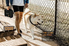 PATPET waterproof e-collar demonstrating IPX7 protection for rain and water training