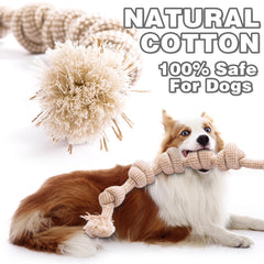 PATTEPOINT natural hemp scent image highlights eco-friendly chew with earthy aroma