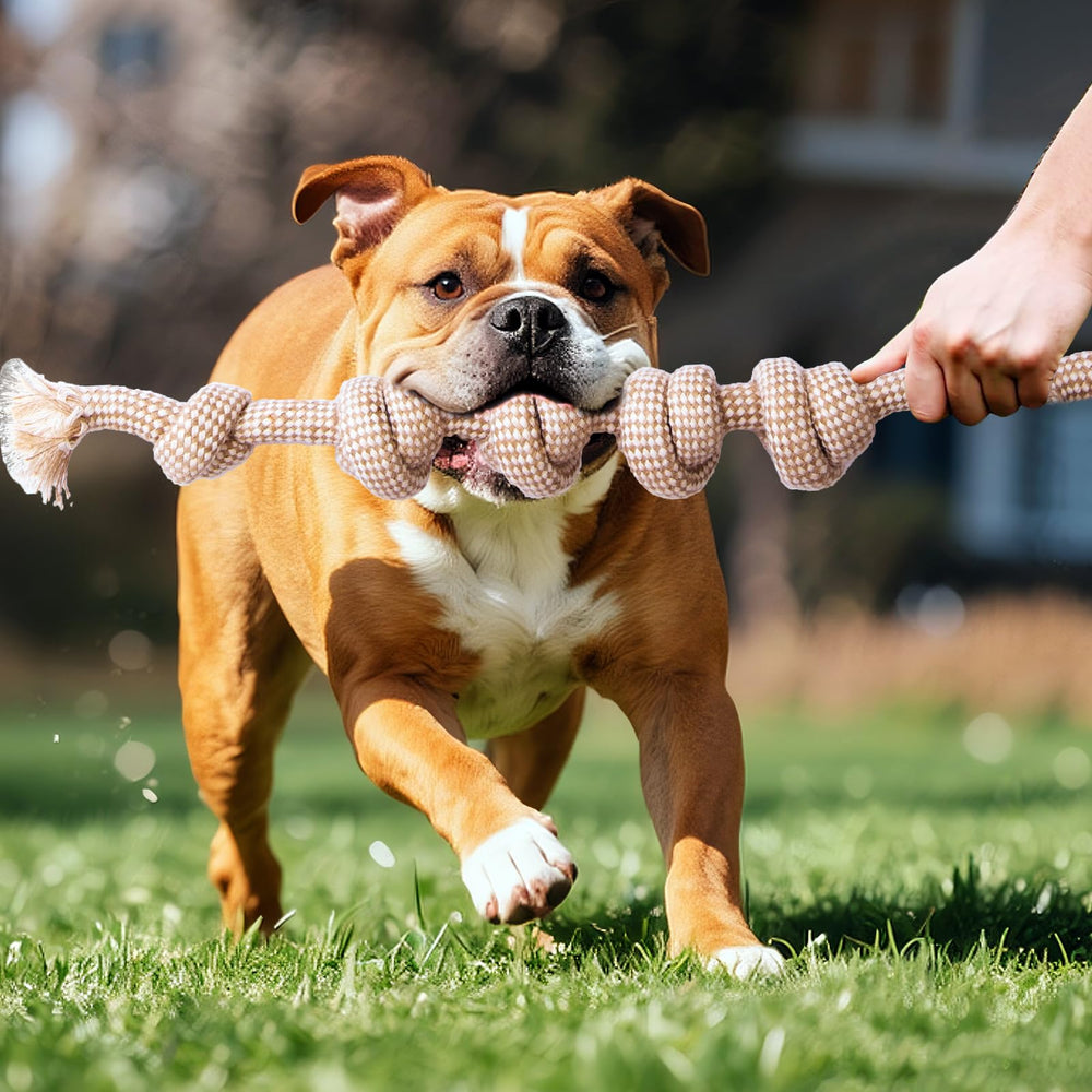 PATTEPOINT linen rope ring image shows safe, multi-style canine entertainment