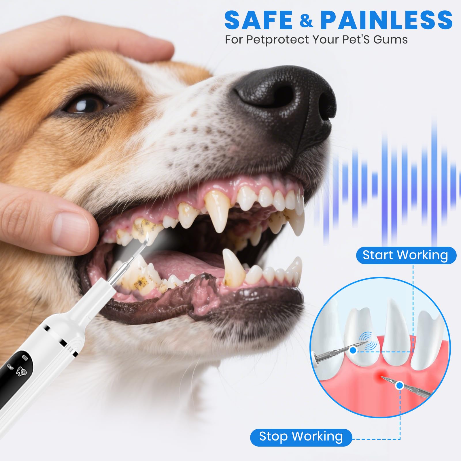 PATWING dog plaque remover LED light highlights tartar for precise stain removal.