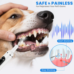 PATWING dog plaque remover LED light highlights tartar for precise stain removal.