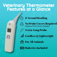 Pavia Rectal Temp Thermometer 4-digit display presents clear readings for easy interpretation.